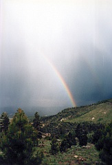 1997 - USA 176 (Dixie Forest)